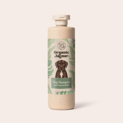 Dog Shampoo